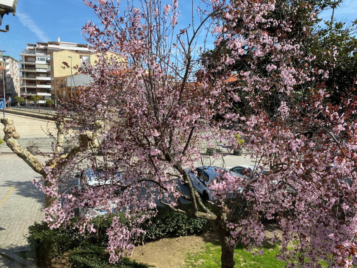 Apartamento Dacosta 플라센시아 외부 사진